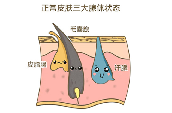 魚鱗皮膚病